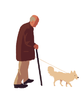Person walking with dog